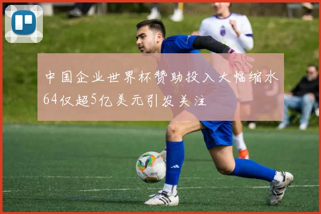 中国企业世界杯赞助投入大幅缩水64仅超5亿美元引发关注